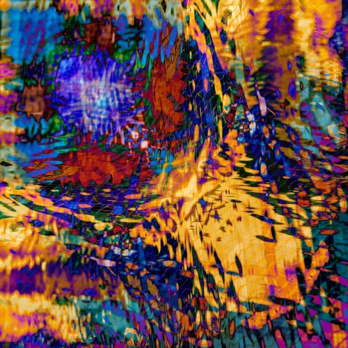 Golden Feathers