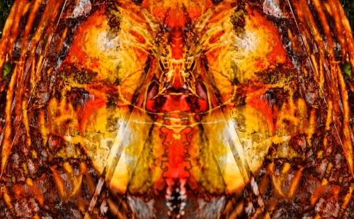 Split Mind