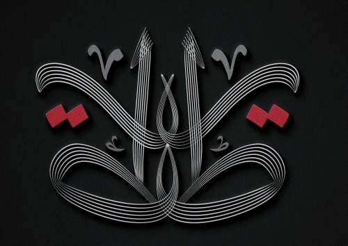 طير