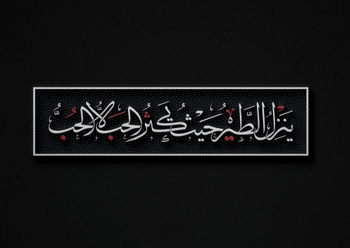 ينزل الطير حيث يكثر الحب لا الحب