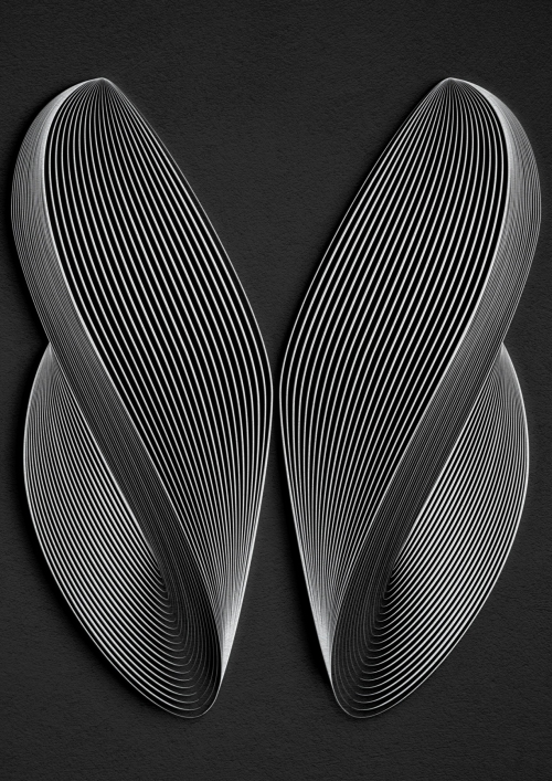 Fold