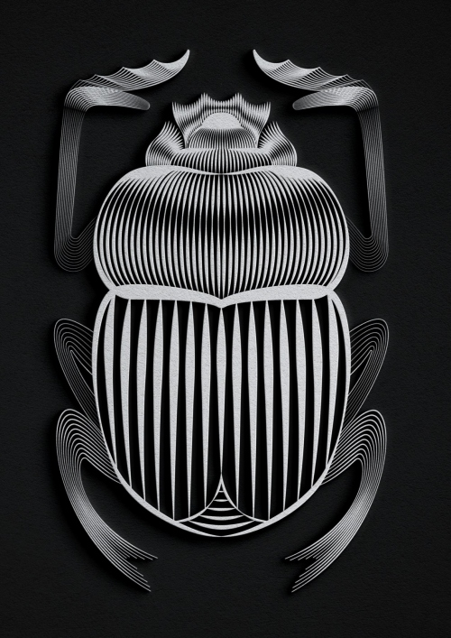 Scarab