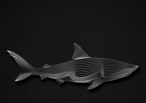 Shark