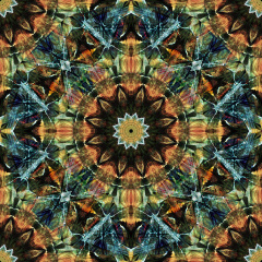 Mandala-011 Mandala-011